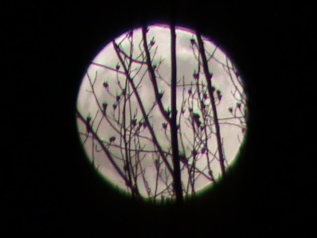 Full moon over Respite Farm, Montpelier, VA, December 27,2012